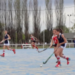 sub12 neuquen