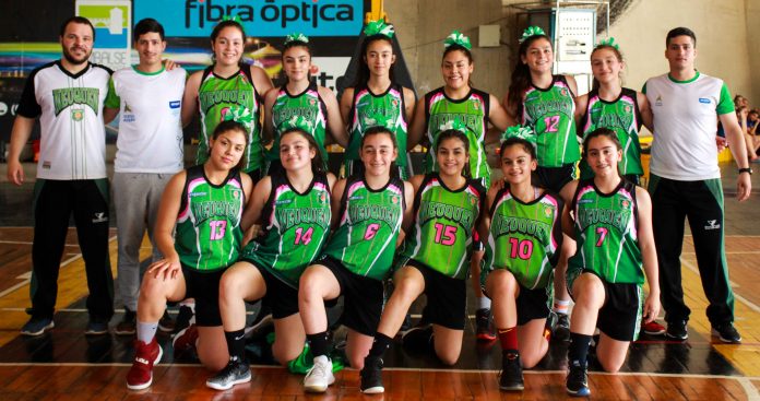 Equipo