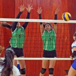 voley 2