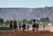 Con una reunión atípica y 14 carreras, vuelve el turf a Neuquén