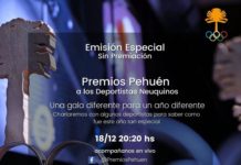Premios Pehuén 2020: reconocimientos en modo virtual