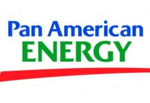 Pan American Energy lanza el Programa de Pasantías Nacionales 2021