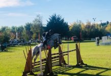 Cuatro días y 120 participantes en el torneo de equitación de El Rincón