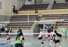 Con el debut de las sub 16 y sub 14, la Liga Neuquina de Vóley vuelve al Parque