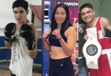 Piñas al por mayor en Afuven