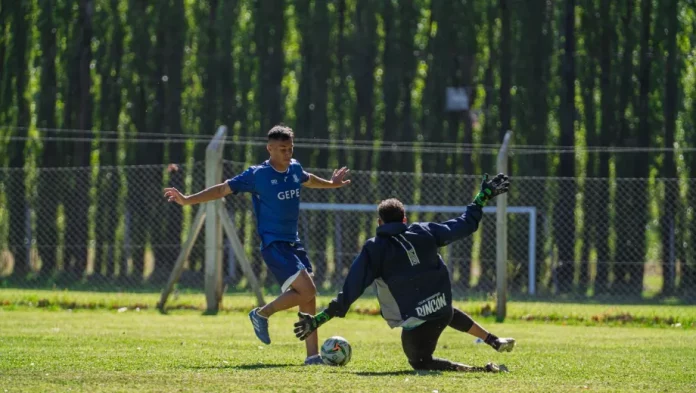 WhatsApp-Image-2026-02-16-at-20.08.43